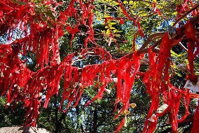 《合金装备：大师合集Vol.1》发布日将获得更新 解决小问题